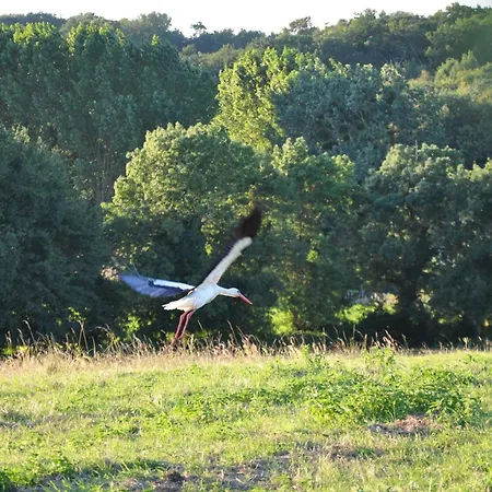 Grand 16 Personnes Dom wakacyjny La-Gripperie-Saint-Symphorien