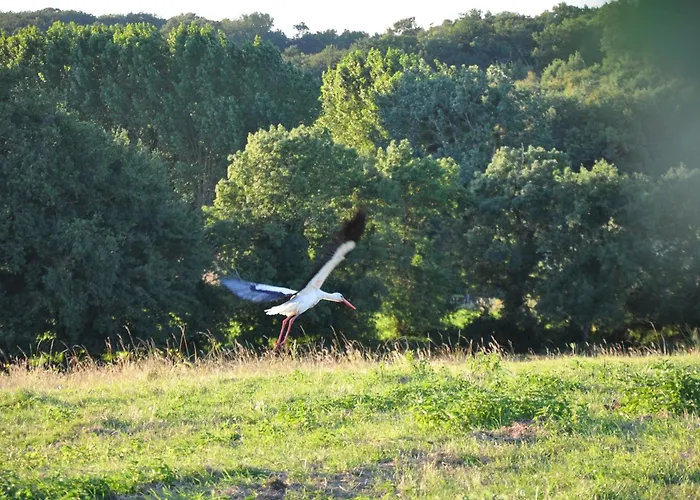 Grand 16 Personnes Сasa de vacaciones La-Gripperie-Saint-Symphorien